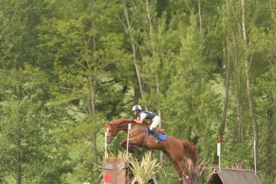 Img 0024 y01g4q - Eugenol