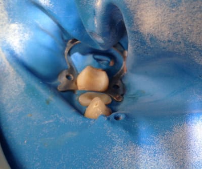 Img 0433 n44qgf - Eugenol