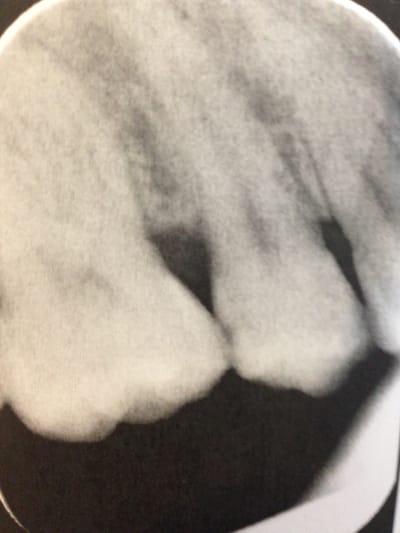 Img 0807 xx7qfg - Eugenol