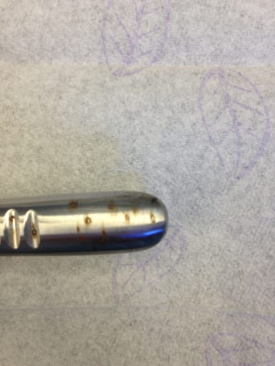 Img 0873 xczxq0 - Eugenol