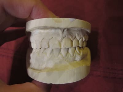 Img 1252 behs9l - Eugenol