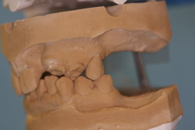 Img 1265 na1t91 - Eugenol