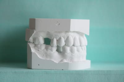 Img 1306 db4bot - Eugenol