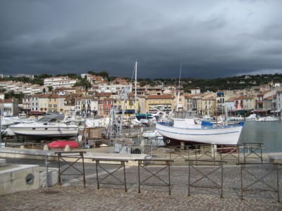 Img 2081 yrfsr1 - Eugenol