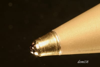 Img 2689 bille bic ieoqp0 - Eugenol