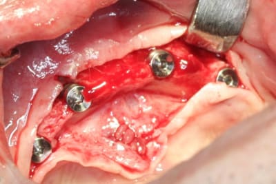 Img 2791 z3swfc - Eugenol