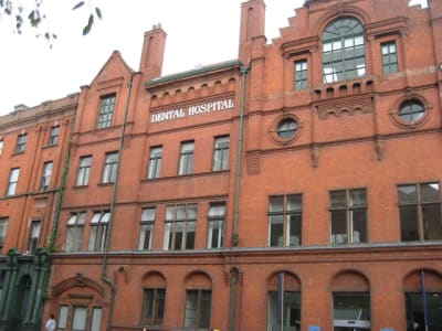 Img 2871 kvg8lt - Eugenol