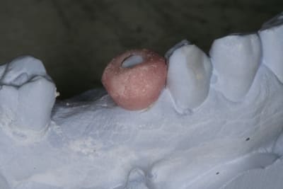 Img 2884 m8vnvc - Eugenol