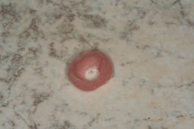 Img 2885 okvoud - Eugenol