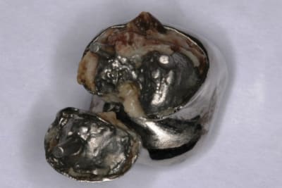 Img 3029 affz71 - Eugenol