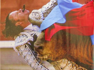 Img 3844 ogsnei - Eugenol