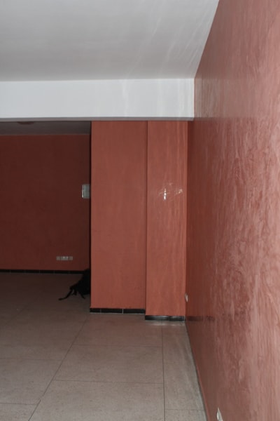 Img 5233 t0qzpr - Eugenol