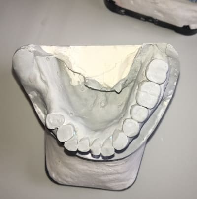 Img 5549 kjnl2d - Eugenol