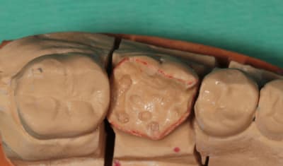 Img 5588 jfphnq - Eugenol