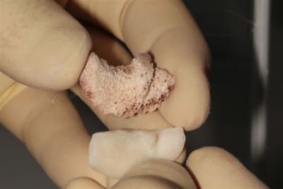 Img 6240 l5c1g9 - Eugenol