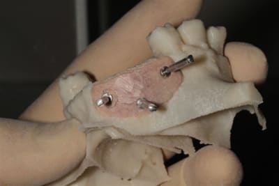 Img 6274 fj0glw - Eugenol