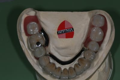 Img 6355 oovvub - Eugenol