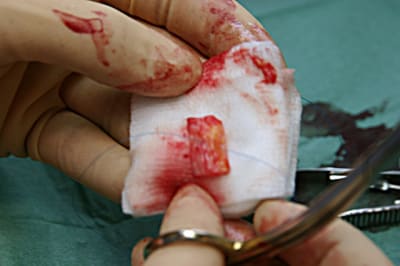 Img 6690 vgxjy2 - Eugenol