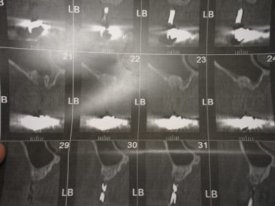 Img 6815 rlb02k - Eugenol