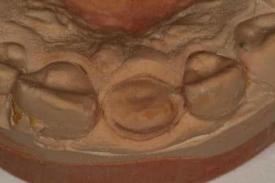 Img 7923 1 ueht2r - Eugenol