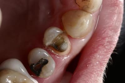 Img 8467  large  cx2fn3 - Eugenol