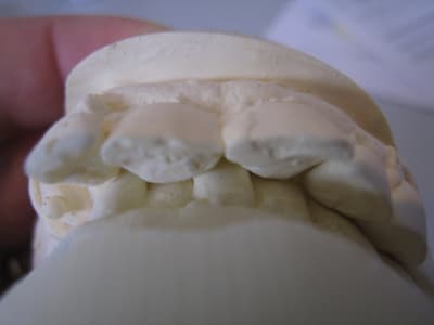 Img 9507 rwfxqw - Eugenol