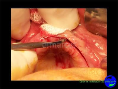 Image32 riql7u - Eugenol
