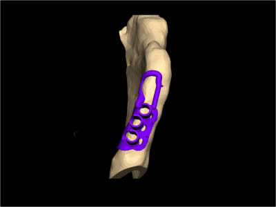 Image7 gvgjap - Eugenol