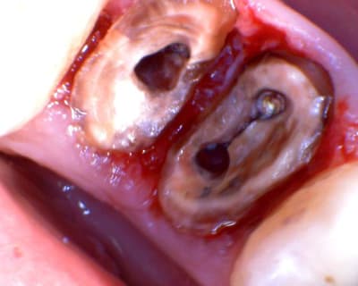 Image 091 che06n - Eugenol