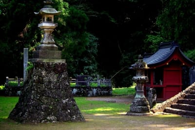 Jb  2  sztlqf - Eugenol