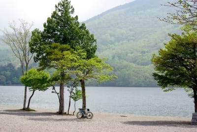 Jb  8  zrhmxz - Eugenol