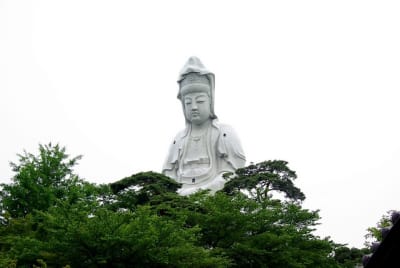 Jn  2  ds20nv - Eugenol