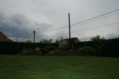 Jardin utr38z - Eugenol