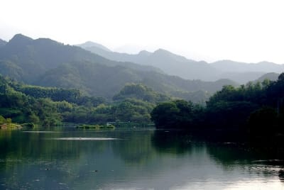 Kn  2  bw89nu - Eugenol