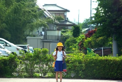 Kn  8  jp2peb - Eugenol