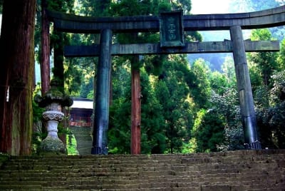 Ktw  7  syu7x3 - Eugenol