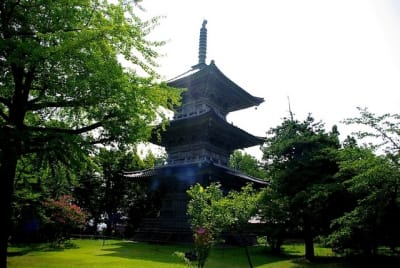 Kw  11  gg2ofd - Eugenol