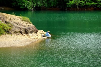 Kw  1  qxmidc - Eugenol