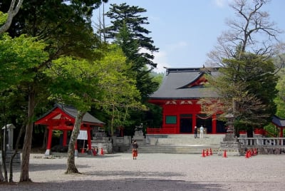 Kw  9  bbqexh - Eugenol