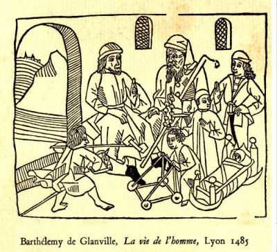 La vie de l homme barth l my de glanville - Eugenol