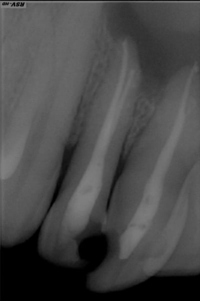 Mr2 kyuqqx - Eugenol