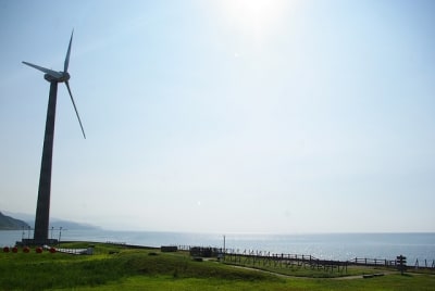 Ngn  5  lj59ja - Eugenol