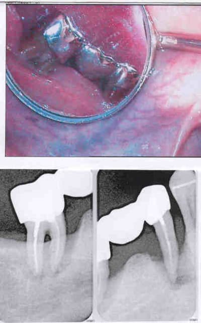 Numériser dkqbf9 - Eugenol