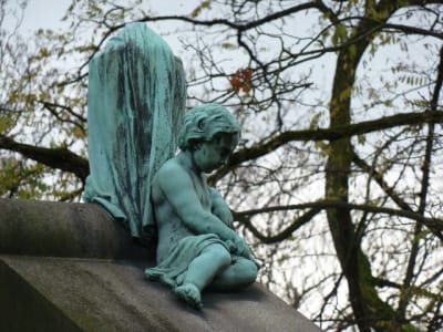 P1010085 iiwkk8 - Eugenol