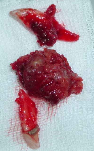 P1020577 twah2c - Eugenol