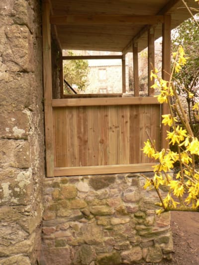 P1140590 n88svc - Eugenol