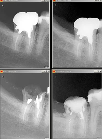 Perf 47 yhbldz - Eugenol