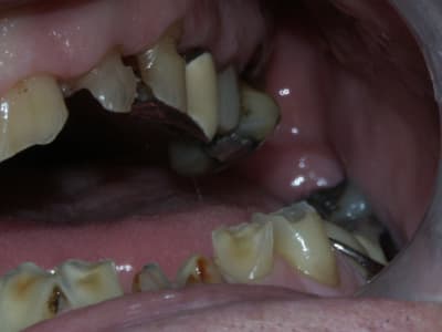 Pict0207 ki26wc - Eugenol