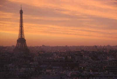 Paris 01 aaewox - Eugenol