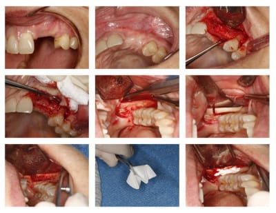 Part 1 yjncn3 - Eugenol